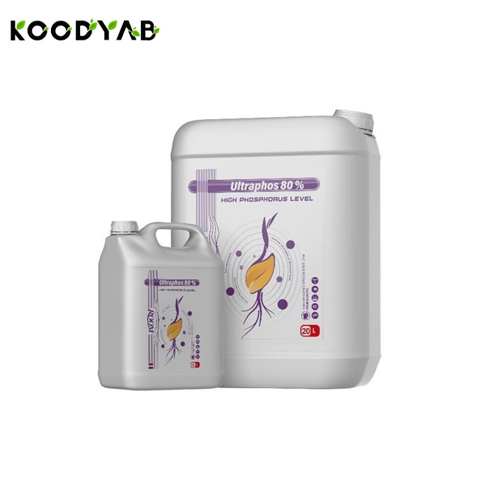  کود فسفر بالااولترافوس 80