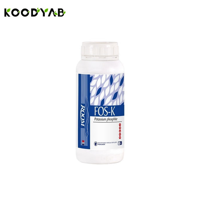  کود فسفیت پتاسیم روم