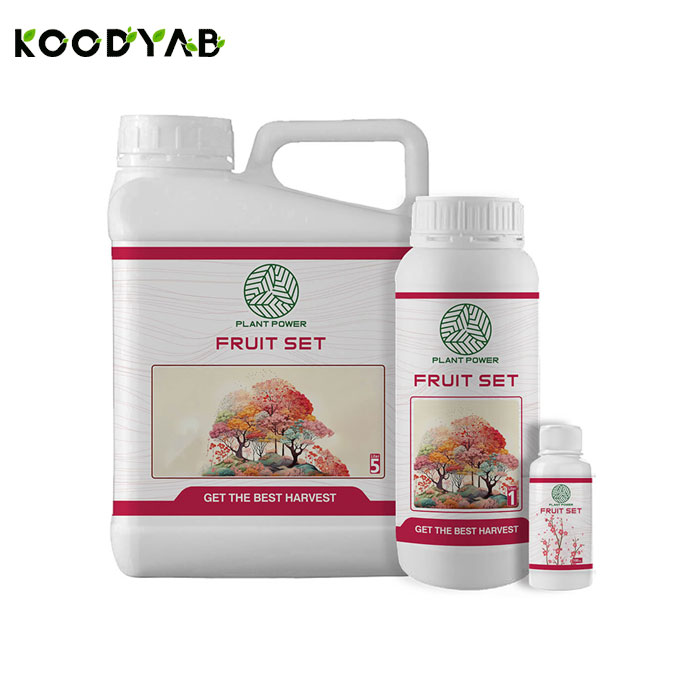 کود فروت ست پلنت پاور