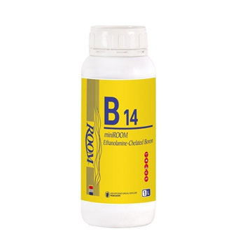  کود کلات  14کلات بور اتانول آمین روم