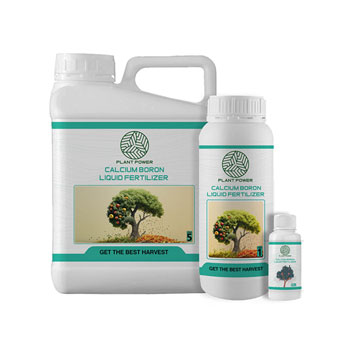 کود کلسیم بور پلنت پاور