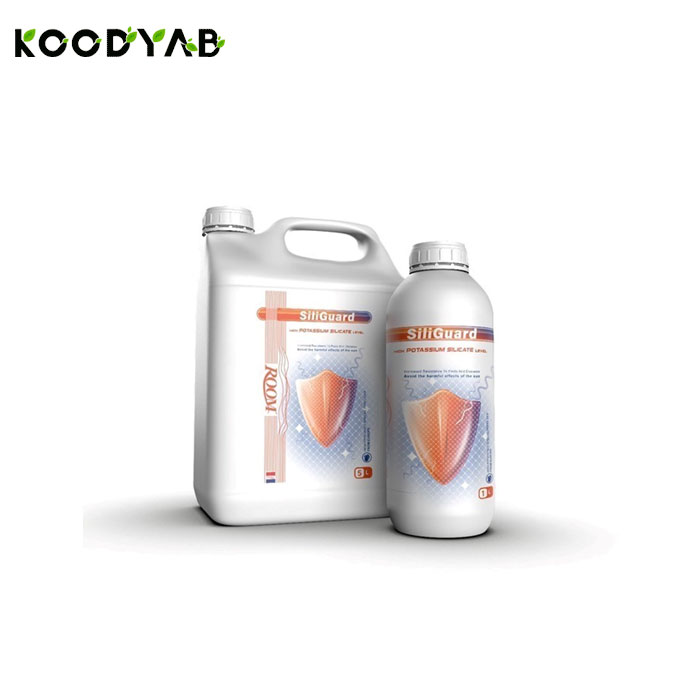  کود سیلیکات پتاسیم سیلیگارد روم