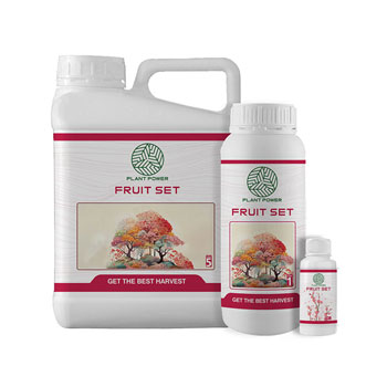 کود فروت ست پلنت پاور