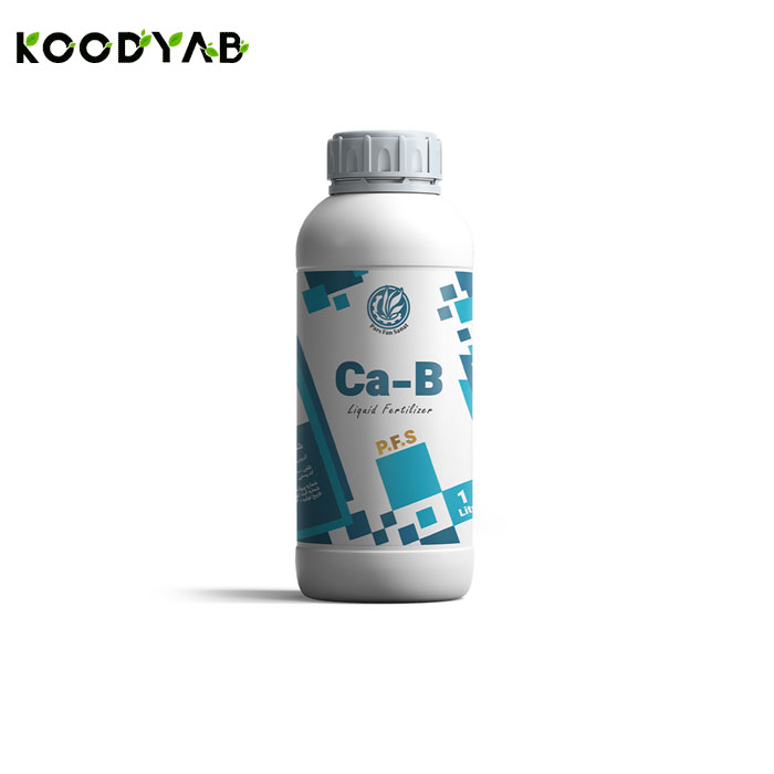 کود کلسیم بور آنزان 