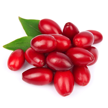 زغال اخته